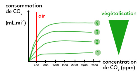 amplification2