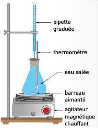 erlenmeyer