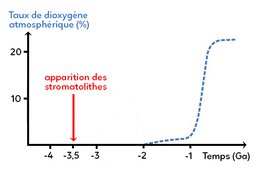 vie-apparition